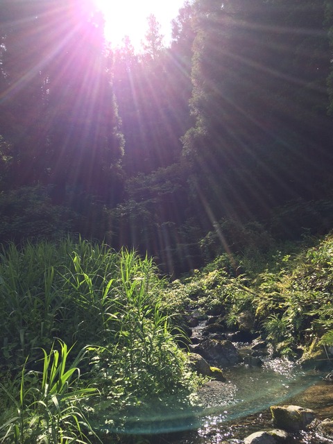 249B7A76-B6D6-4531-9C1D-0A0C5DCEB07F