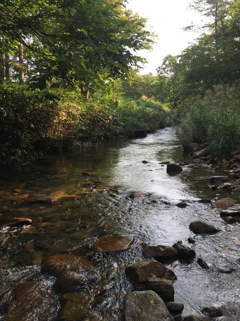 7ADE5EE7-5FC6-4949-B7F8-CB7B5ED8A485