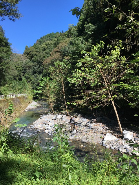 07B553D2-FC63-44F5-AC56-1CDA2AAD3AC2