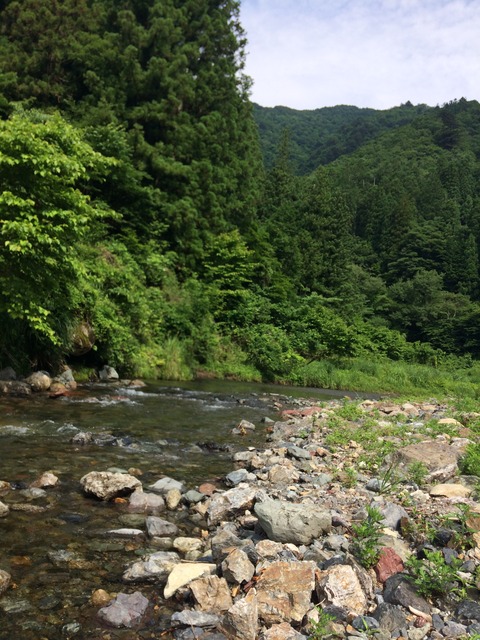 29A22477-B8CB-4678-AC15-0522172D919E