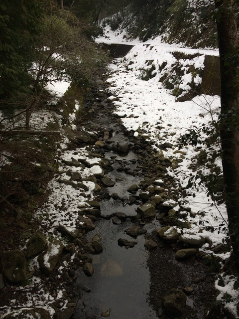 D3FA068D-6601-411E-9139-B51B4916C6A1