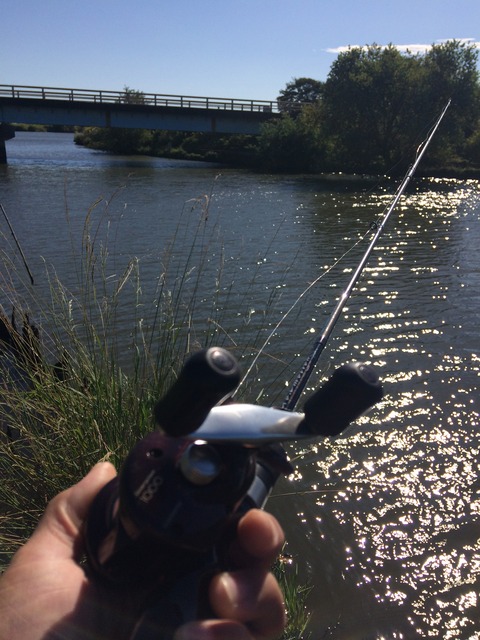 199A7EA8-BAE1-4D06-BC93-78D2D1C64125