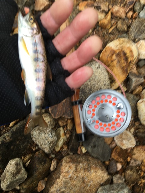 2B8F318F-DCD2-48B6-825D-517B5FE71E52