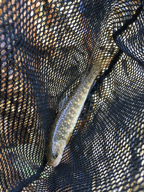 4E49BBDA-119E-44F8-9A3A-20F719D23912