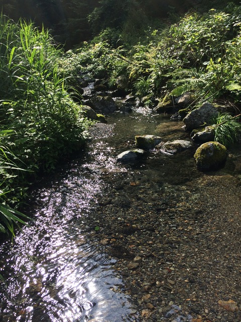 04F5127E-EE78-4775-92D4-20D3806CC8BC