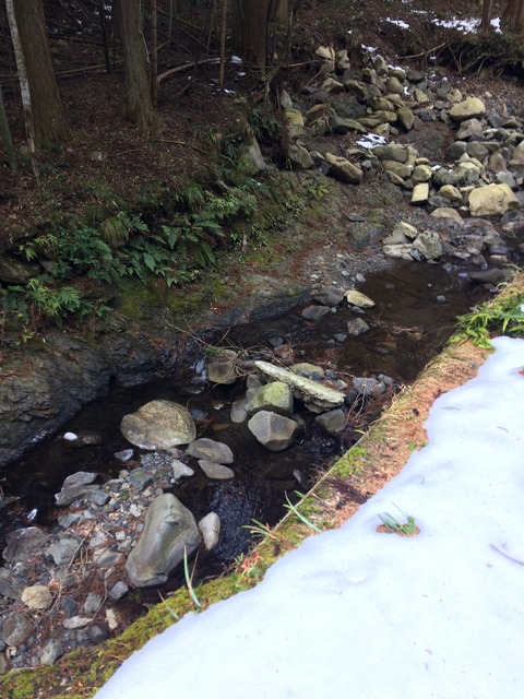 004C463F-9573-47E8-860B-008852F70AD0