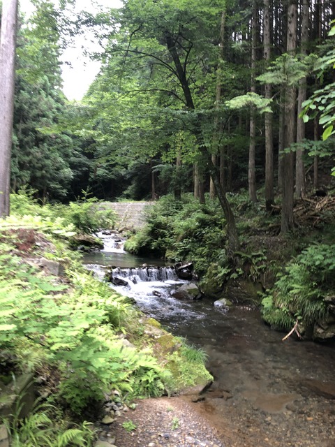 AB41E14C-85F6-4367-9E43-CC0C6277F09A