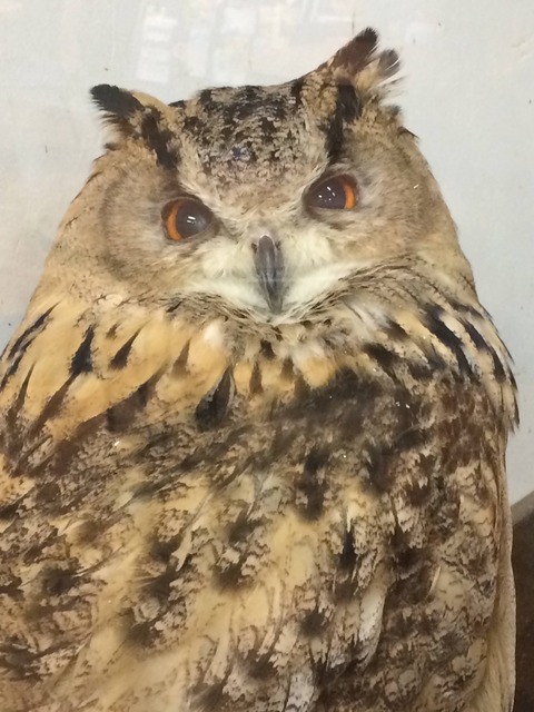 8380B6A9-5F12-47CF-BA1C-5C10ED0D5469