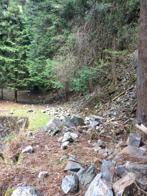 1E7266AF-A675-482D-9185-235E693A9512