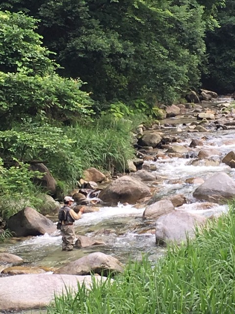 91719F07-8F26-455F-9662-1923CEE26561