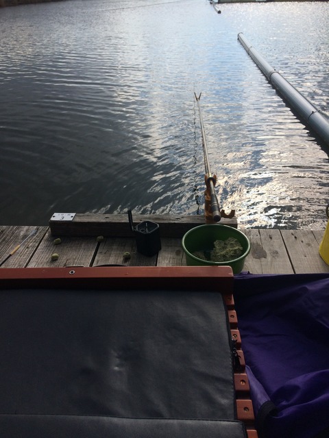 0503B25B-AAC3-4641-BA55-297591F09617