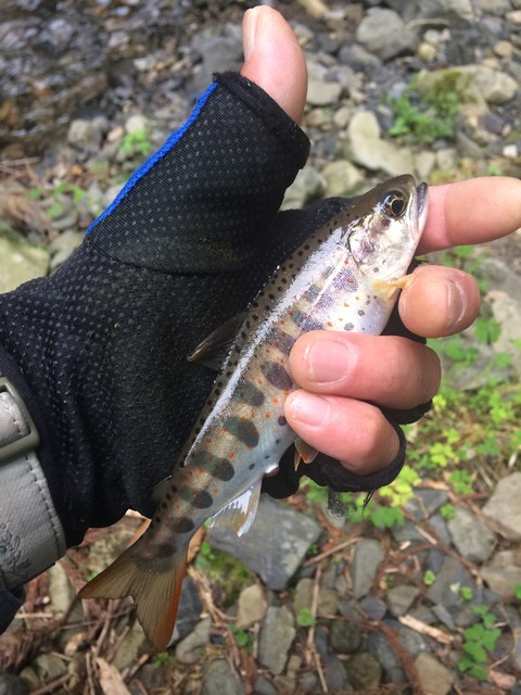 5D0C6506-37E9-4BD2-AA59-6731AC02F3DF