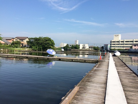 8AF6895E-206B-4295-870E-53C2A94679E2