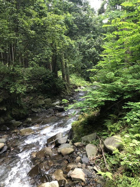 D3F1C6A8-4817-4D53-8BED-A362579F5788