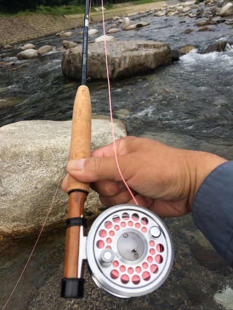 33EB0804-A459-4AC9-A134-94FF80DCFF61