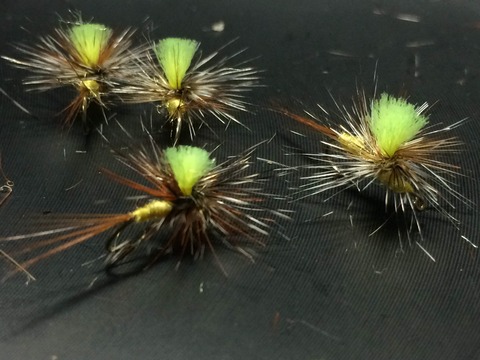 EC933420-CCE8-4E7A-913F-037A933FE440