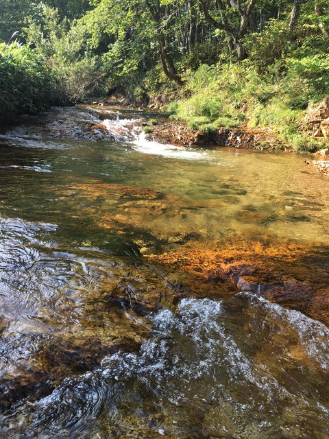 2340B39A-380E-4D8F-9D9D-5C438E6B1840