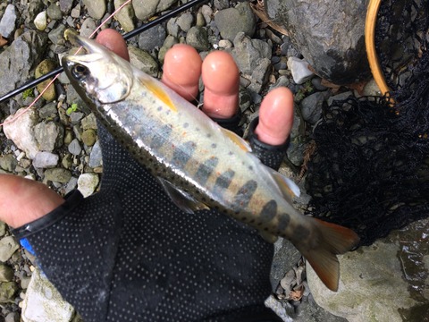 F2E4BF5F-259F-4444-A4C1-76CD86E832D7