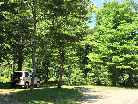 10BEDF76-4B4C-41AD-B460-318812D82A36