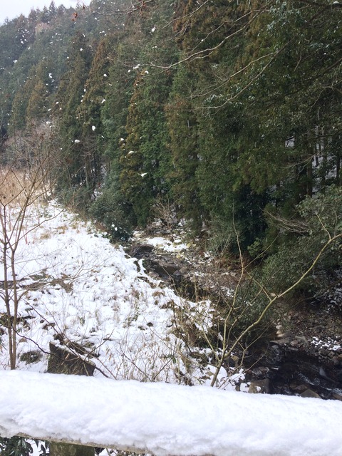 2B93CC3C-FCA2-4116-8078-EEB01E3967CA