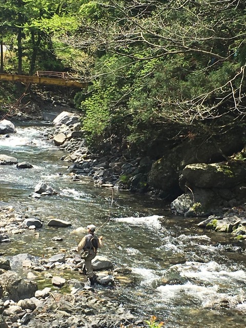 CD542D7F-B8FC-471D-AB09-2975ACA53F47