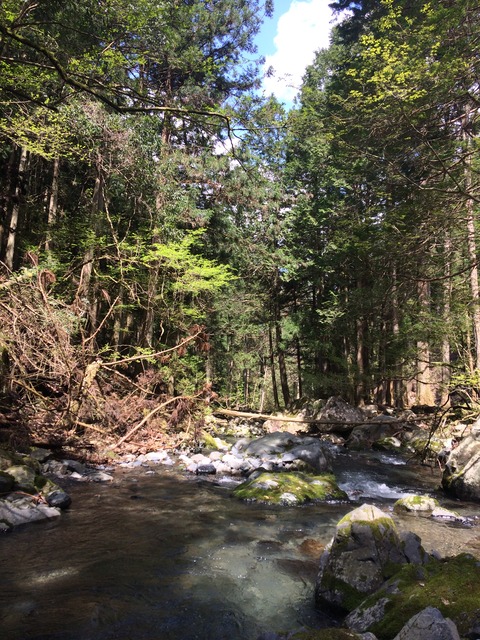 39C425E4-7B15-408B-9543-5A246BD655F4