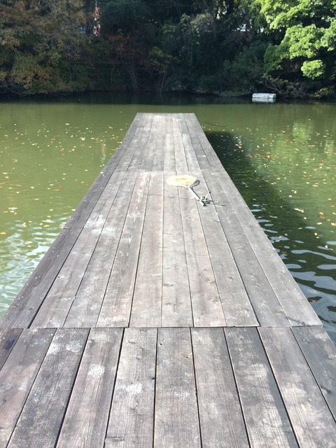 E35F2C35-9709-4B83-81C5-92516BB6788C