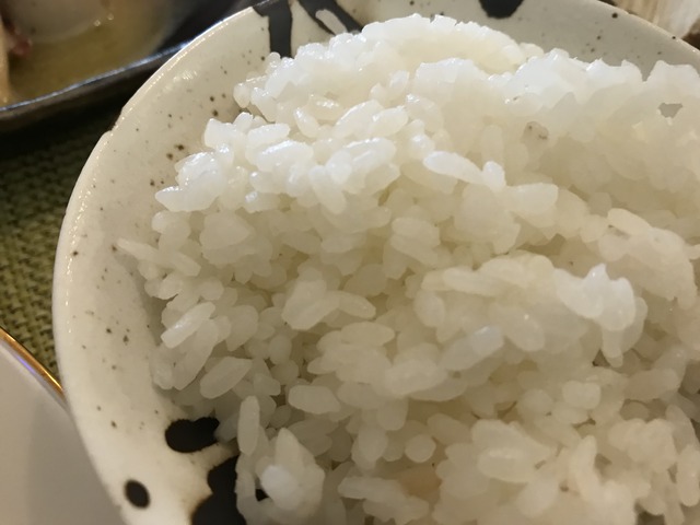 ランチごはんセット1-1