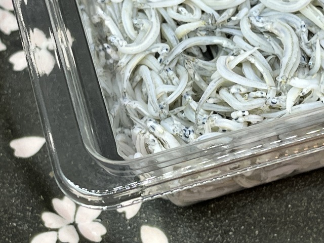 ❶ちりめん1-2-1