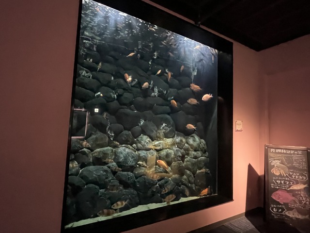 ❸陸棚縁辺部の景1