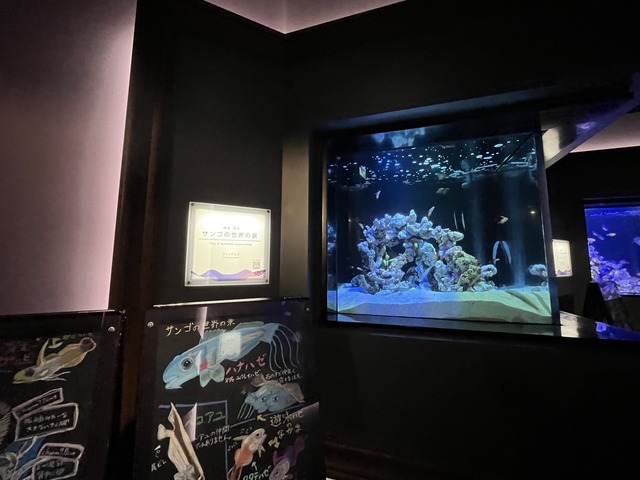 ❶-0サンゴ礁の景