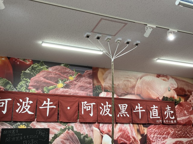 阿波黒牛藤原