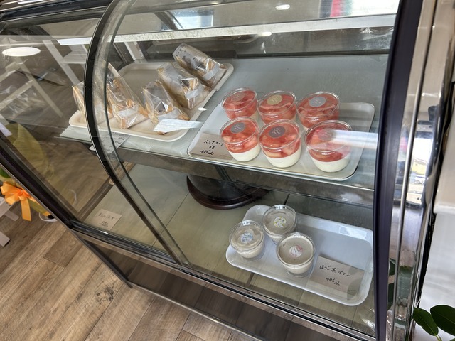 ショーケース