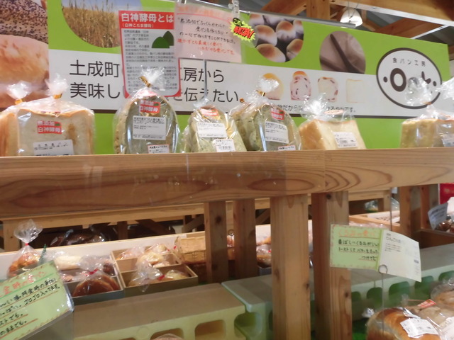 店内オークパン