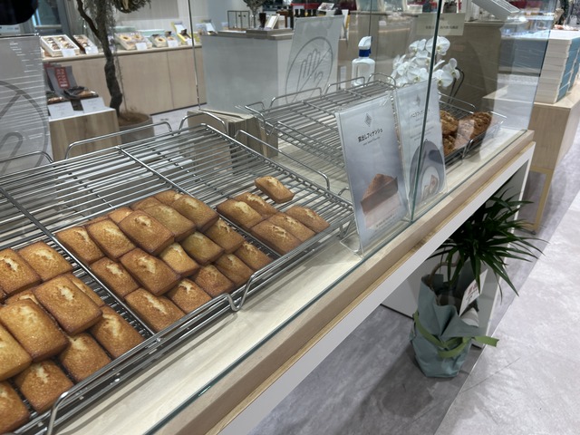 ショーケース