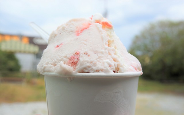 ストロベリーミルフィーユとイチゴミルク3 (2)