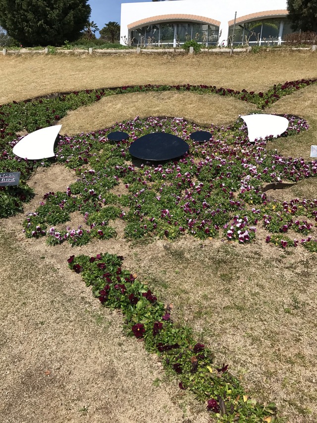 園内コアラの花壇4