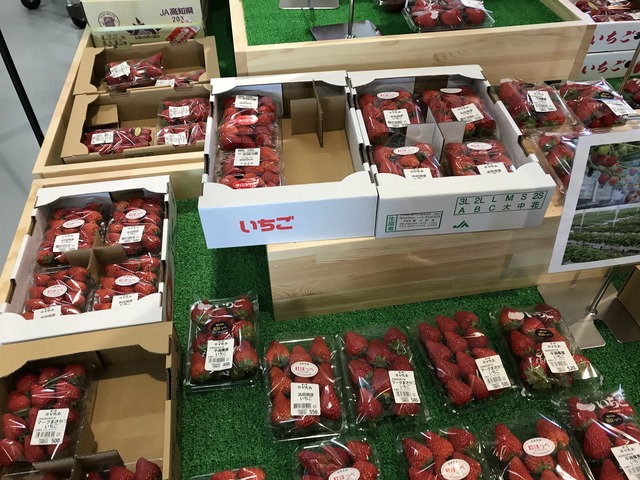 店内いちご