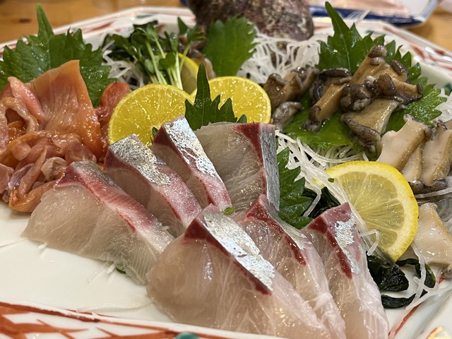 シマアジ・赤貝・サザエ・アワビ1-2-5