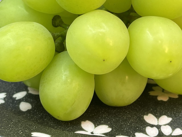 ❶シャイン1-2-3