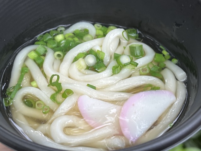 素うどん