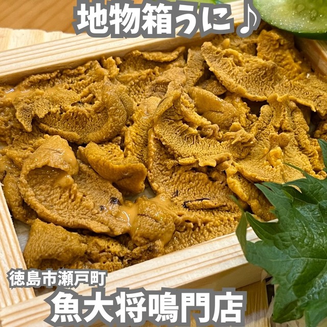 魚大将-箱ウニ