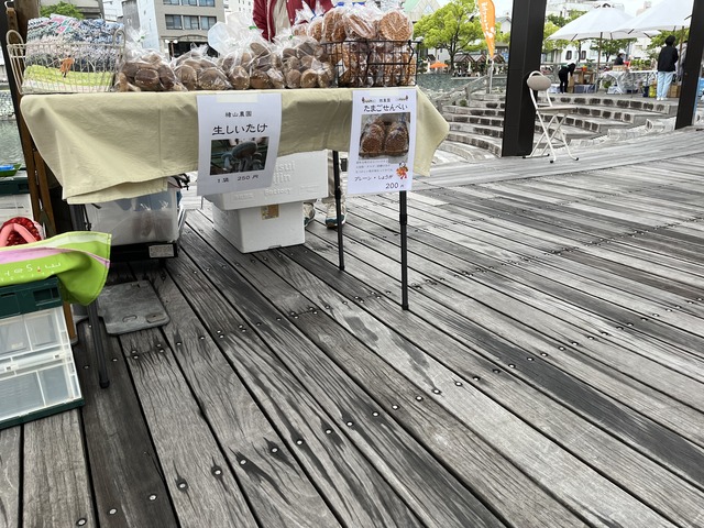 ❶美郷シイタケ