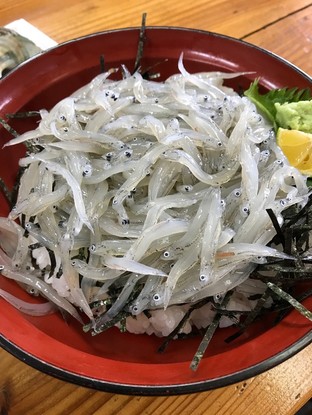 生シラス丼4