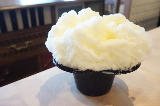 マスクメロン1-1