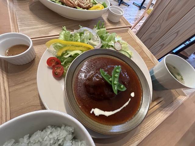 煮込みハンバーグ1-1