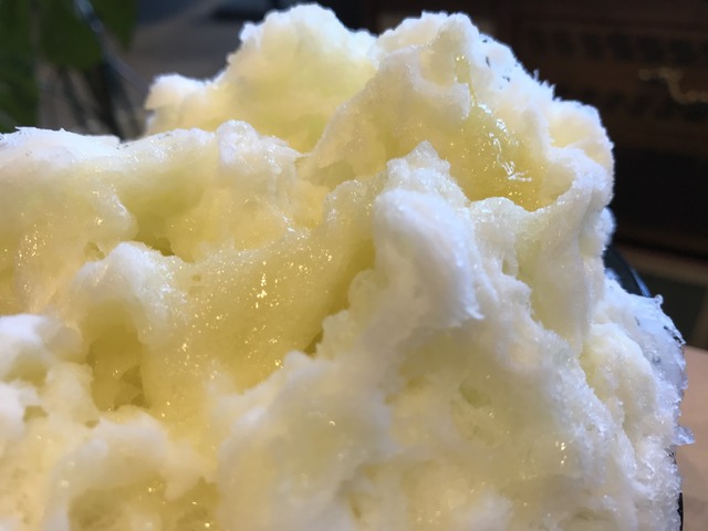 マスクメロン2-1-5