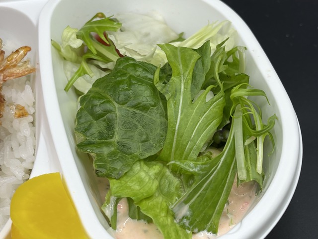 照り焼き唐揚&エビフライ弁当1-4