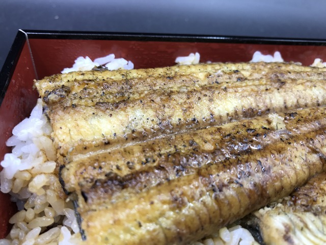 ウナギ弁当上1-3-4
