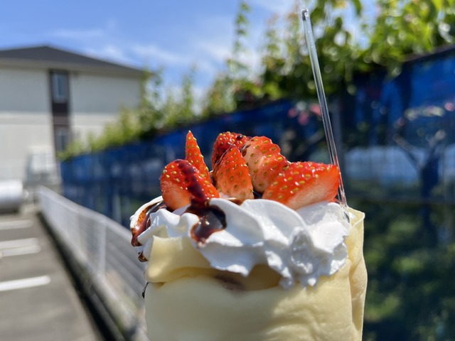 チョコいちご1-1-8